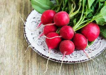 Fresh purple radish