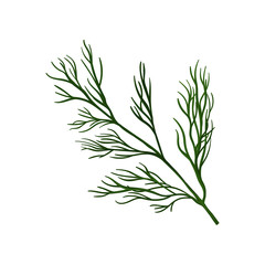 Branch of fresh green dill. Ingredient for flavoring dish. Herbs and spices theme. Flat vector design