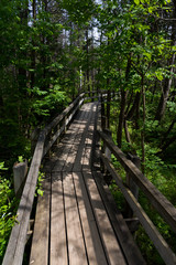 National park wooden trail