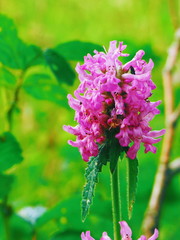 Processed with VSCO with l1 preset