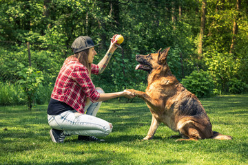 German shepherd dog give paw to owner