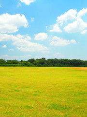 グラウンドのある河川敷風景