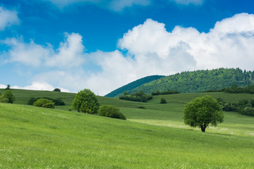 Rolling green hills with trees and blue sky with clouds