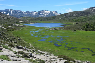 Lac de Nino, Corse