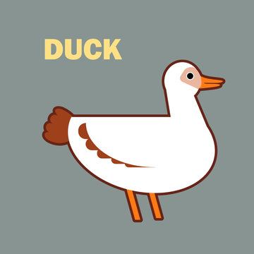 Domestic bird duck simple