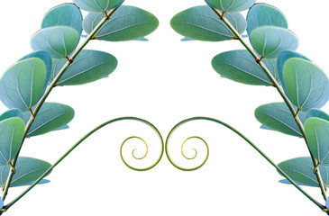 green leaf texture background