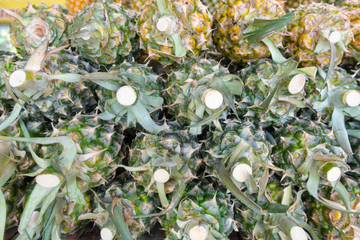 Many pineapple fruit on shelf.