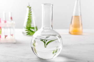 Glass flask with plant on table in laboratory