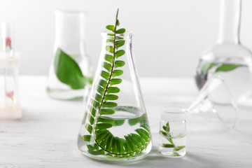 Glass flask with plant on table in laboratory