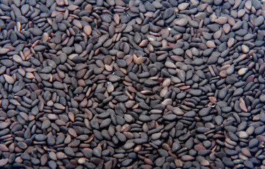 black sesame seeds isolated on the white