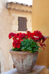 Red geraniums in a pot in Eze, France