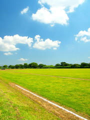 初夏の江戸川河川敷風景