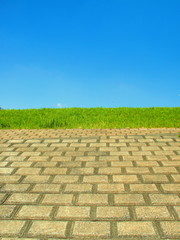 護岸と若草と青空