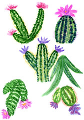 Cacti watercolor art
