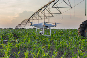 Drone flying in front of irrigation system in corn field © Budimir Jevtic