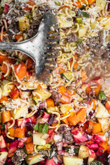 Draufsicht, selbstgemachtes Futter für den Hund, Hundefutter gekocht mit Gemüse und Fleisch