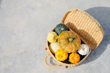 Beautiful top view of several colorful pumpkins in the basket on the grey .concrete background with copy space.