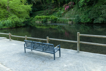 Fototapeta premium metall bench on the lake shore, on a background of green forest