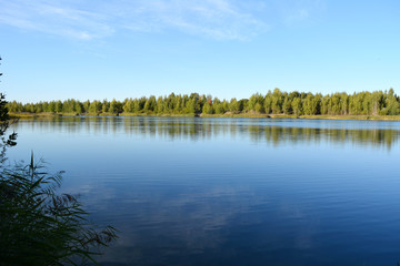 Landscape with a lake, where the forest reflects in water. Beautiful summer scene.