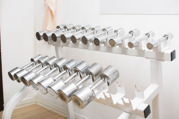 Rows of dumbbells in the gym.
