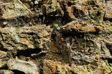 Old stone brick walls of natural stone with dust cobweb and mud textured background