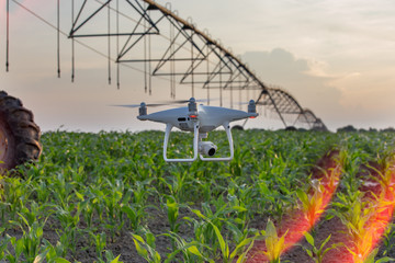 Drone flying above corn field and mapping
