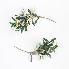 Olive branches on white background. Flat lay, top view, copy space, square © Flaffy