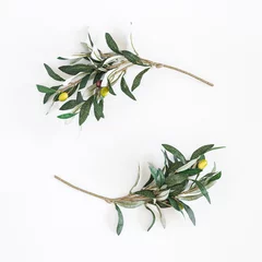 Photo sur Aluminium Olivier Olive branches on white background. Flat lay, top view, copy space, square