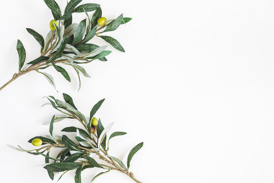 Olive branches on white background. Flat lay, top view, copy space