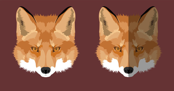 Fuchs Gesicht Kopf Tier Icon App 