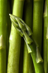 Detail of Asparagus officinalis vegetables