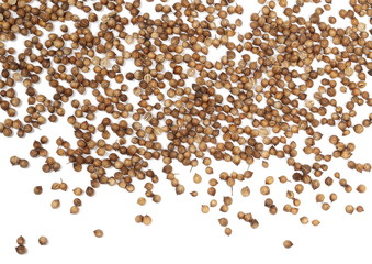 Coriander seeds isolated on white background, top view 
