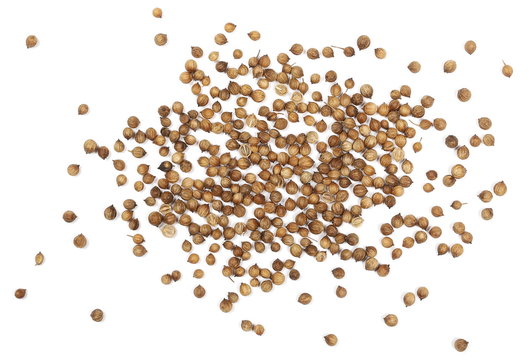 Coriander seeds isolated on white background, top view 