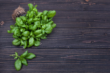 Basil on dark wooden background