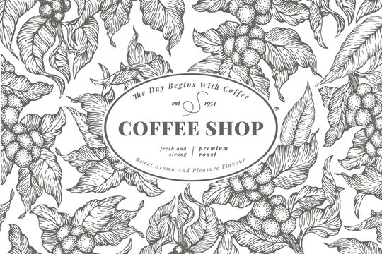 Coffee tree banner template. Vector illustration. Vintage coffee background. Hand drawn engraved style illustration.