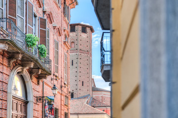 Vercelli is an important agricultural and commercial center, specifically for the rice trade...