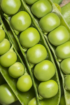 fresh peas close up in the detail
