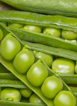 green peas in a legume - close up