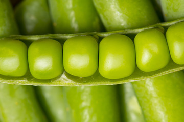 green pea close up - macro photo