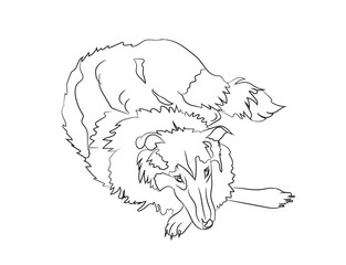 dog lies, lines, vector,