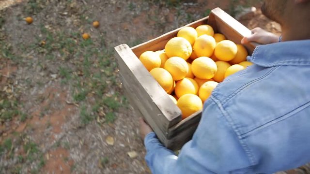 Naranjas