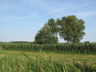 Obraz premium panorama