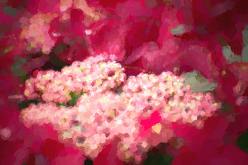 Abstract digital watercolour image of a pink hydrangea