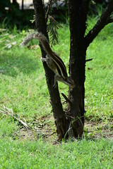 hi, am just a 19yrs boy with few lenses. u may say i am just a beginer, but congrats you are commenting on  my passion. :0