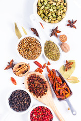 Exotic herbal Food concept Mix of the organic Spices cardamom pods, bay leaves, star anise, peppercorn, chilli, nutmeg,Sichuan peppercorns and coriander seeds