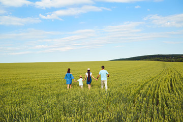 A happy family is walking in a wheat field in the summer. Back view.