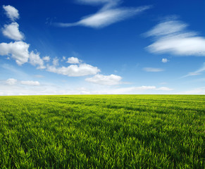 green field and clouds
