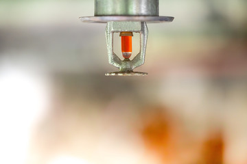 Fire sprinkler head on the ceiling.