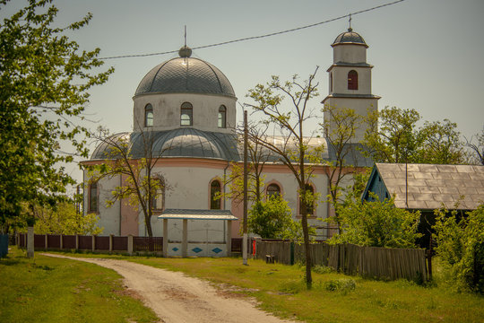 Nature in the Danube Delta near Letea C.A. Rosetti and Sfistofca