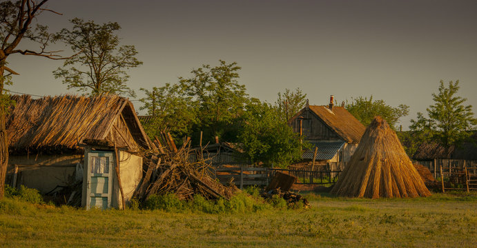Nature in the Danube Delta near Letea C.A. Rosetti and Sfistofca